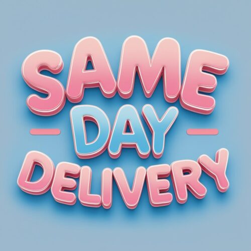 Same Day Delivery (Must be pre-approved)